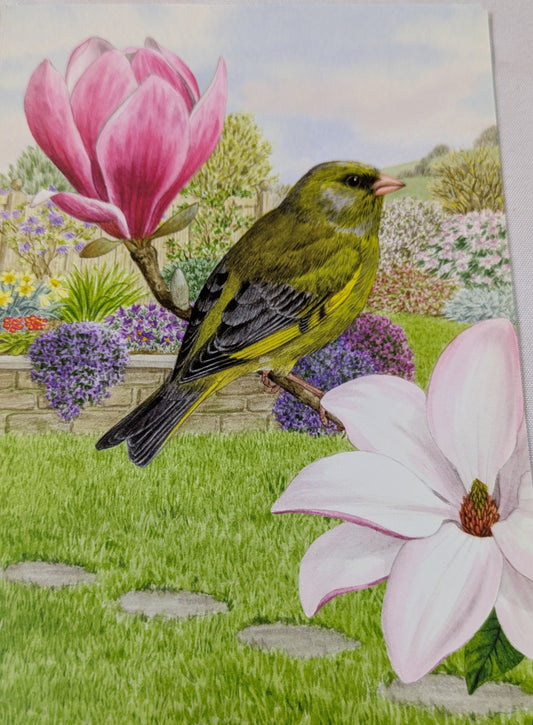 BUY 2 6X6 INCH CARD KITS SALE ON TWO ITEMS PLUS ACROSS MY SHOP P&P INCLUDED TO UK CODE 299