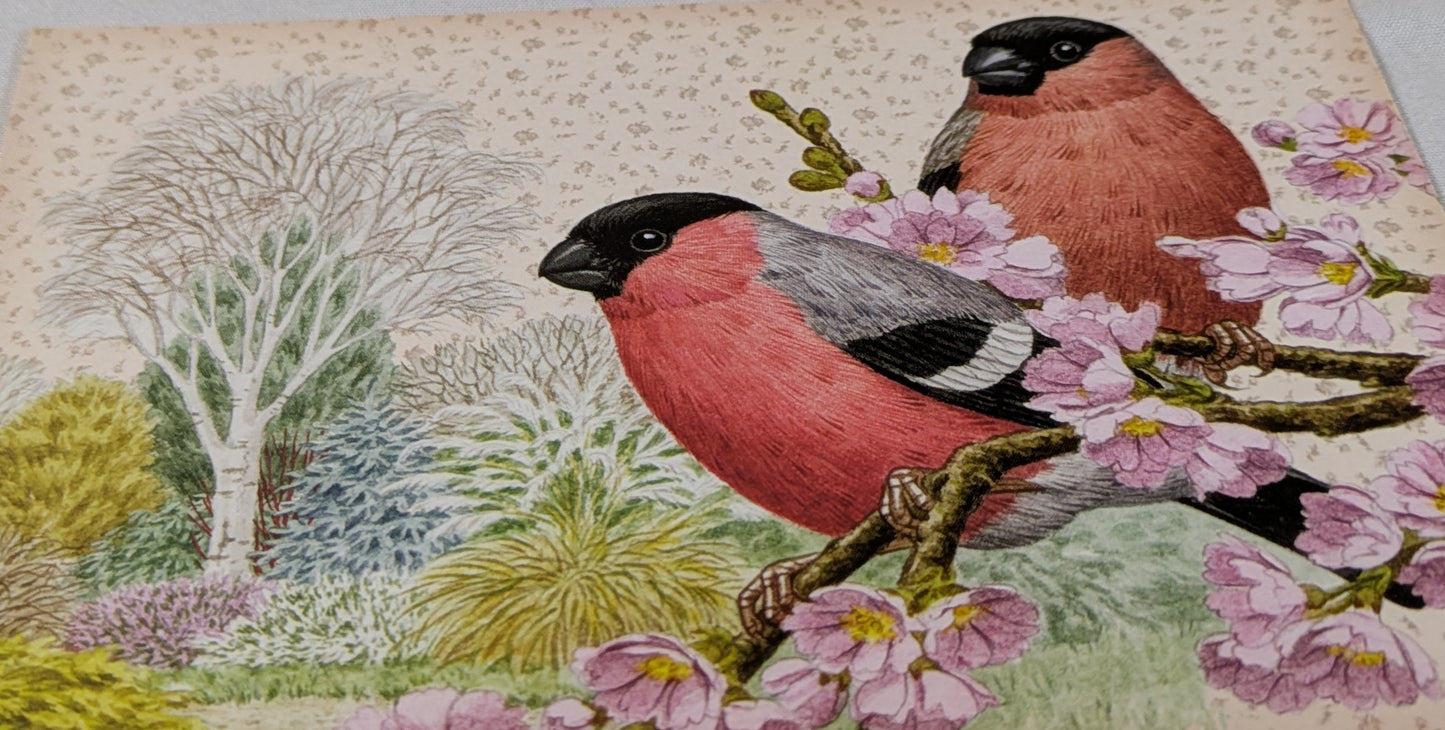 BUY 2 6X6 INCH CARD KITS SALE ON TWO ITEMS PLUS ACROSS MY SHOP P&P INCLUDED TO UK CODE 300