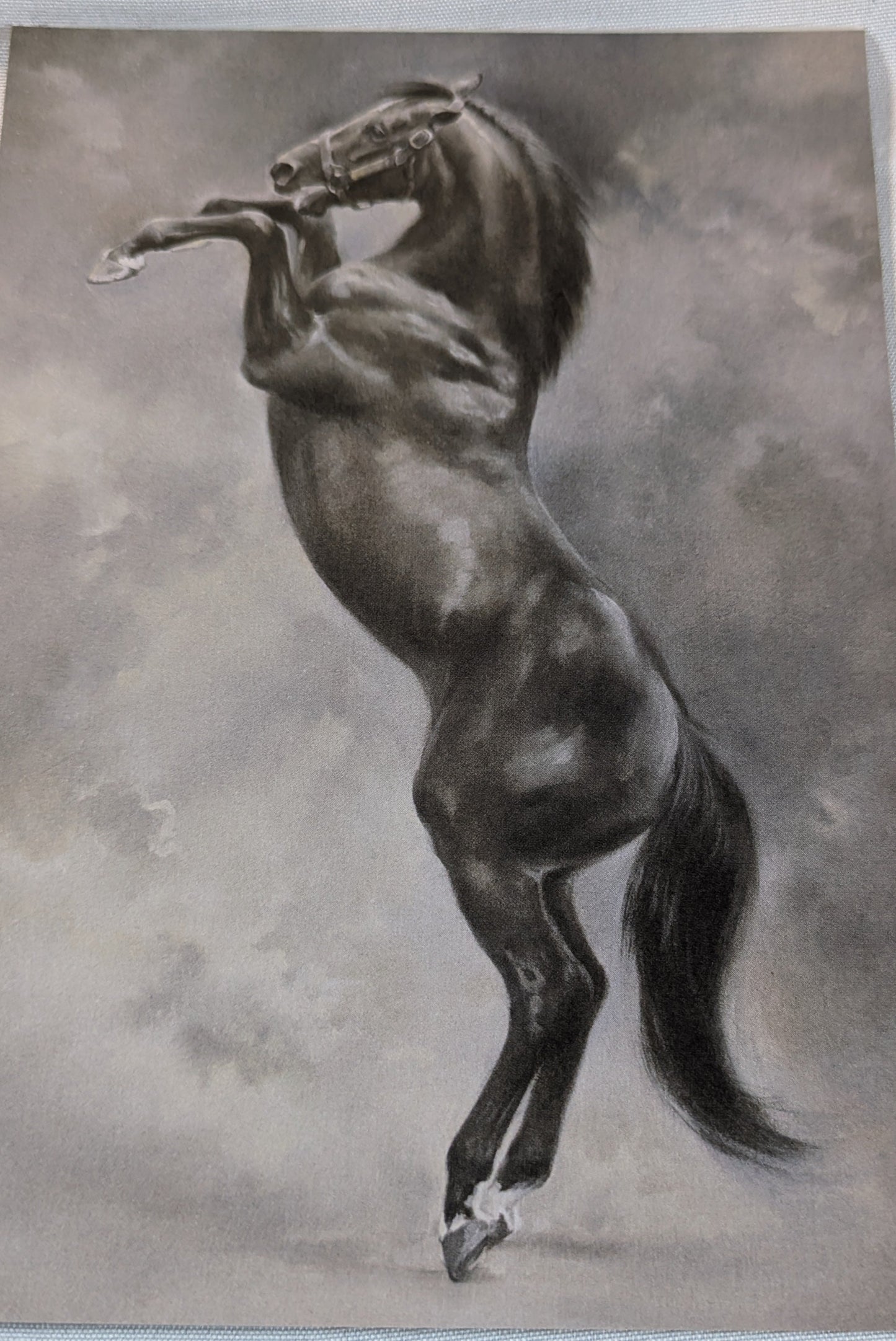 BUY 2 6X6 INCH CARD KITS SALE ON TWO ITEMS PLUS ACROSS MY SHOP P&P INCLUDED TO UK CODE 309