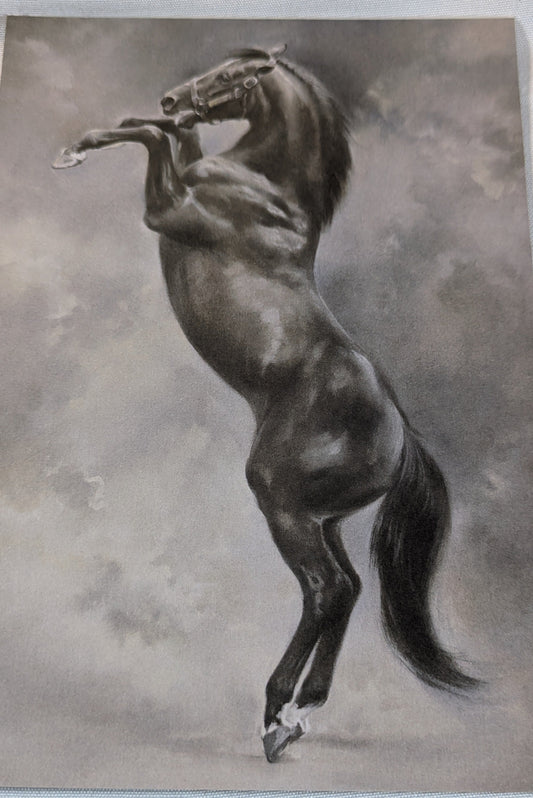 BUY 2 6X6 INCH CARD KITS SALE ON TWO ITEMS PLUS ACROSS MY SHOP P&P INCLUDED TO UK CODE 309