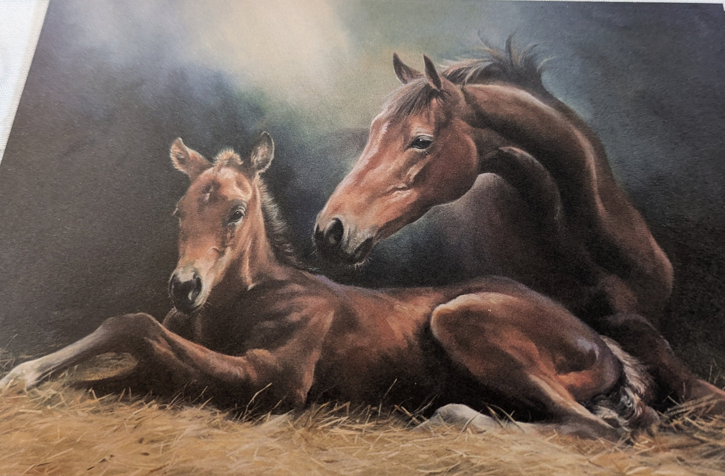 BUY 2 6X6 INCH CARD KITS SALE ON TWO ITEMS PLUS ACROSS MY SHOP P&P INCLUDED TO UK CODE 310