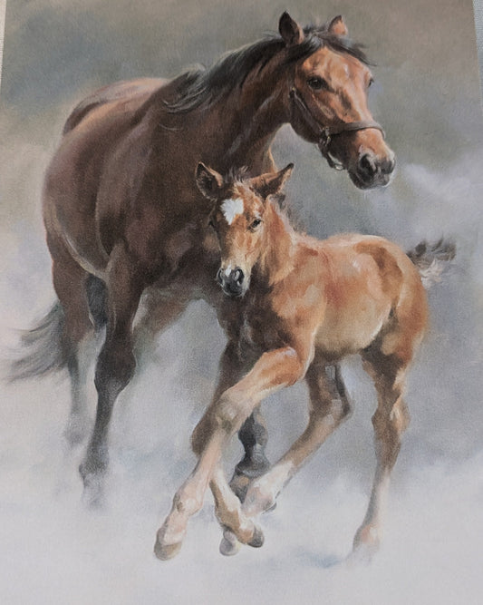 BUY 2 6X6 INCH CARD KITS SALE ON TWO ITEMS PLUS ACROSS MY SHOP P&P INCLUDED TO UK CODE 311