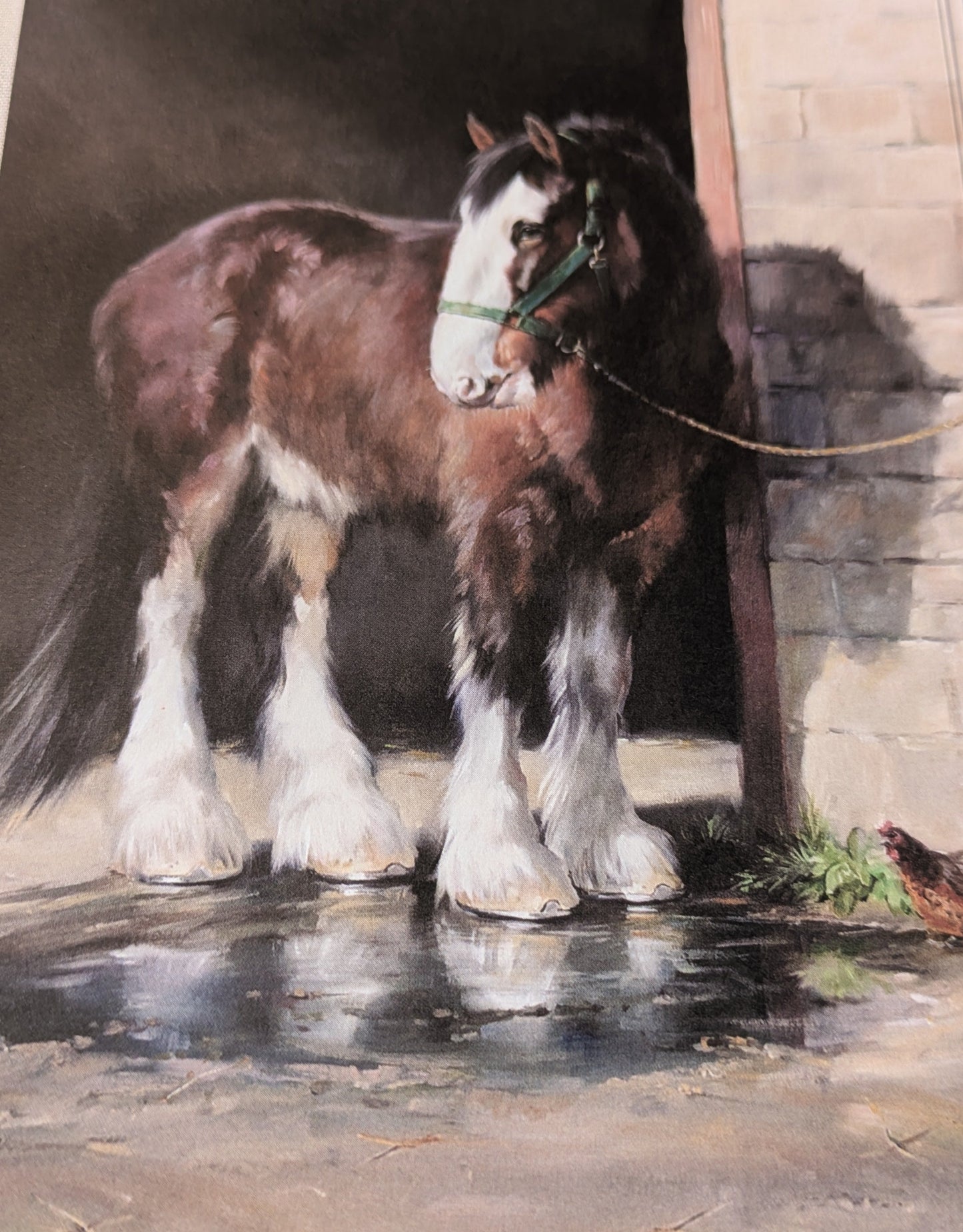 BUY 2 6X6 INCH CARD KITS SALE ON TWO ITEMS PLUS ACROSS MY SHOP P&P INCLUDED TO UK CODE 313