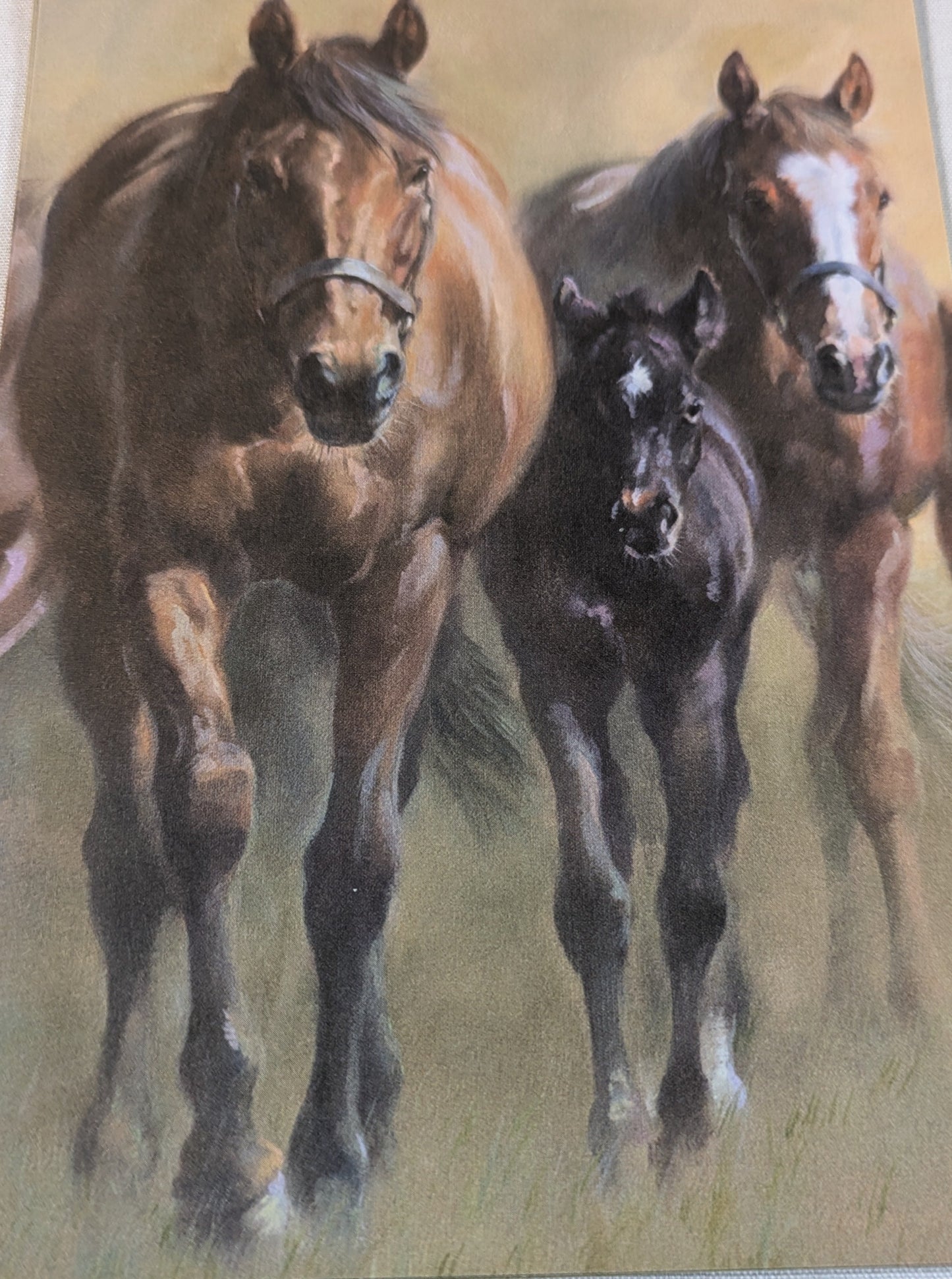 BUY 2 6X6 INCH CARD KITS SALE ON TWO ITEMS PLUS ACROSS MY SHOP P&P INCLUDED TO UK CODE 317