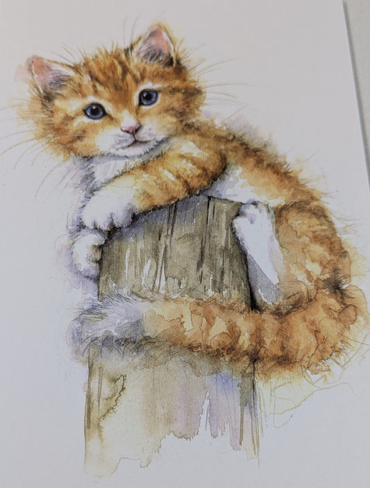 BUY 2 6X6 INCH CARD KITS SALE ON TWO ITEMS PLUS ACROSS MY SHOP P&P INCLUDED TO UK CODE 320