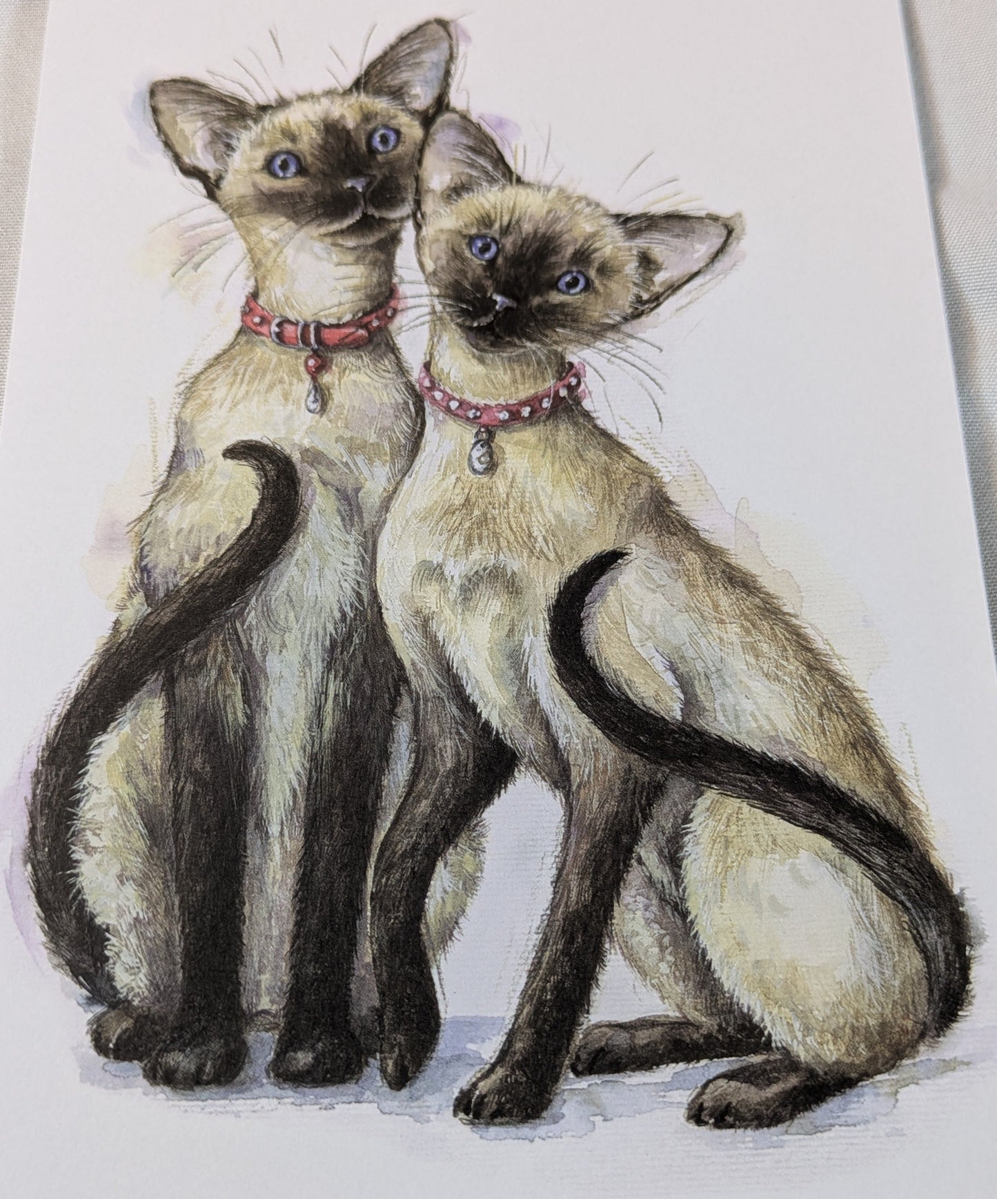 BUY 2 6X6 INCH CARD KITS SALE ON TWO ITEMS PLUS ACROSS MY SHOP P&P INCLUDED TO UK CODE 323