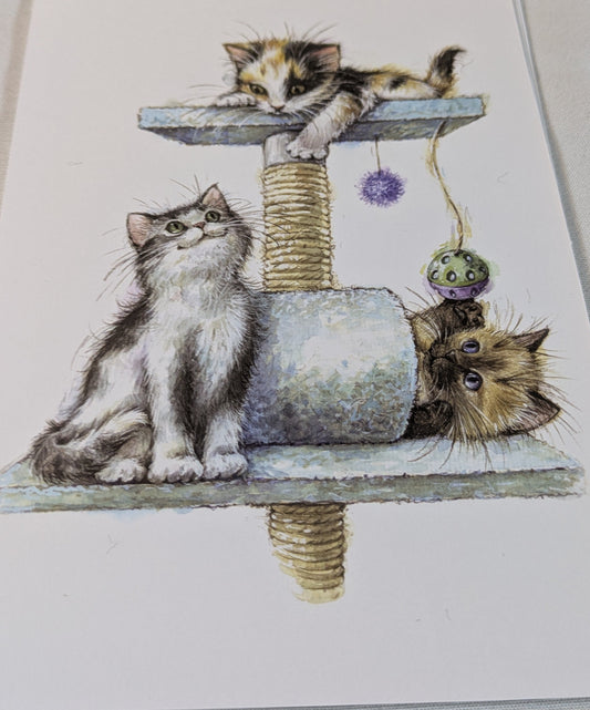 BUY 2 6X6 INCH CARD KITS SALE ON TWO ITEMS PLUS ACROSS MY SHOP P&P INCLUDED TO UK CODE 334