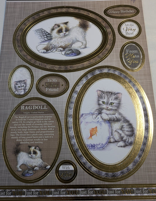 BUY 1 A4 SHEET WITH 2 CARDS SALE ON TWO ITEMS PLUS ACROSS MY SHOP P&P INCLUDED TO UK CODE 63