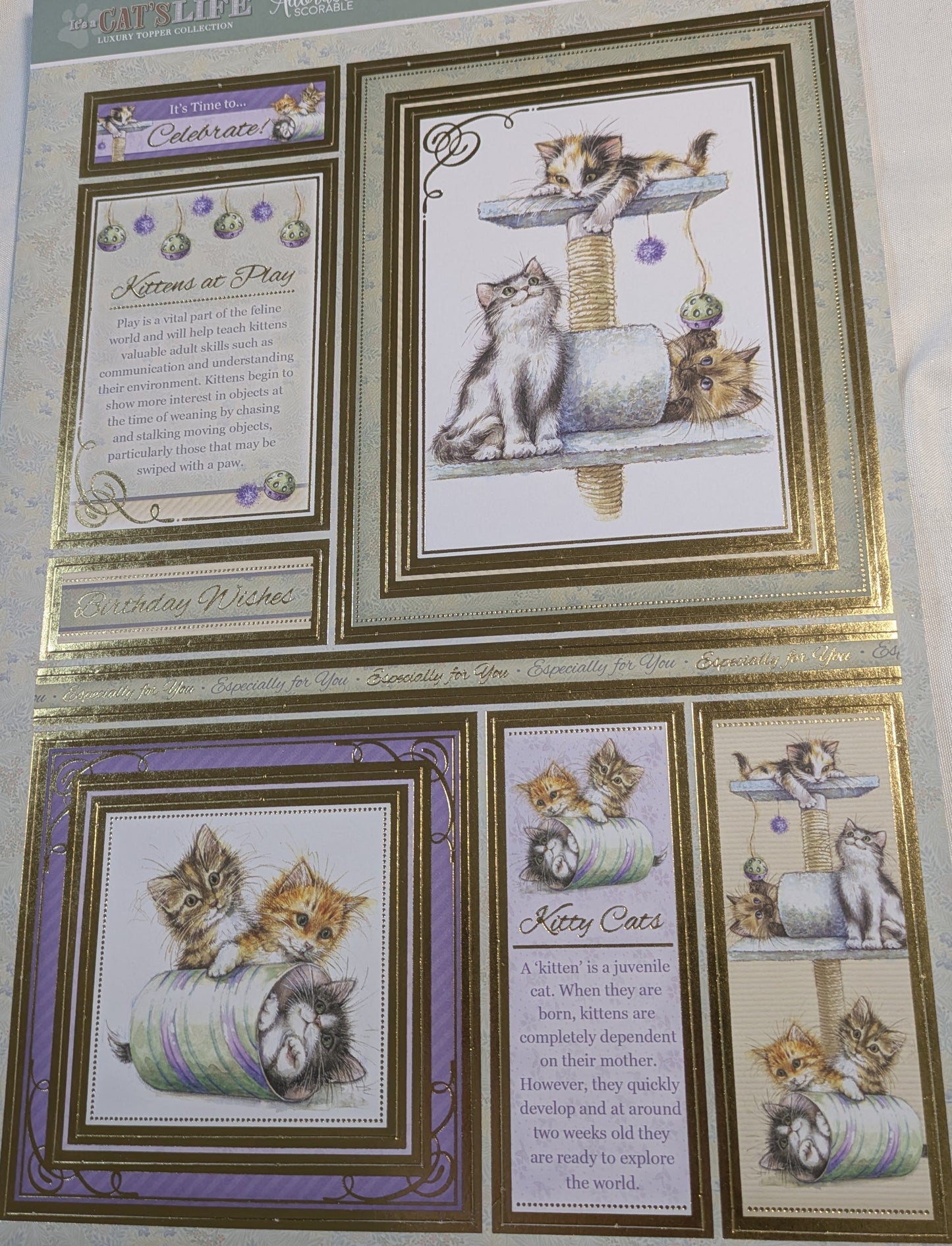 BUY 1 A4 SHEET WITH 2 CARDS SALE ON TWO ITEMS PLUS ACROSS MY SHOP P&P INCLUDED TO UK CODE 67