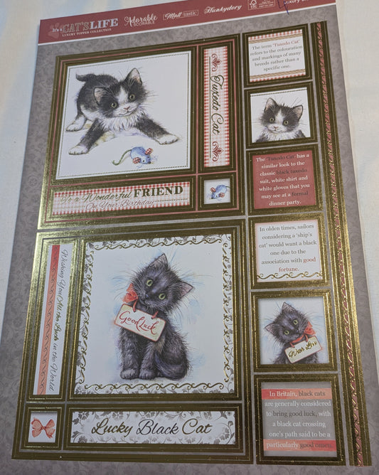 BUY 1 A4 SHEET WITH 2 CARDS SALE ON TWO ITEMS PLUS ACROSS MY SHOP P&P INCLUDED TO UK CODE 70