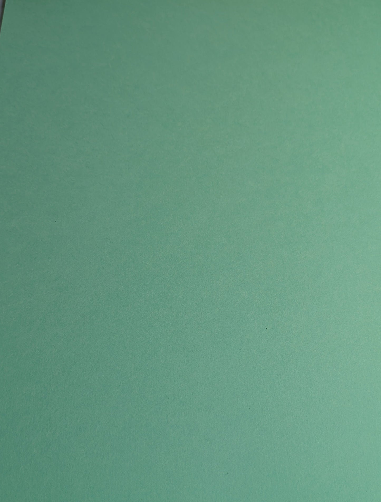 A4 DECORATED CARD 10 SHEETS SALE ON TWO ITEMS PLUS ACROSS MY SHOP P&P INCLUDED TO UK CODE 162