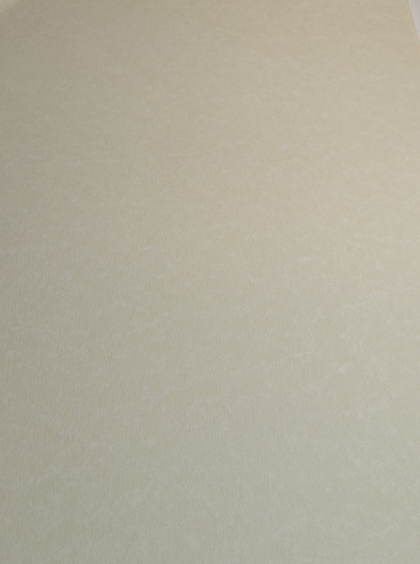 A4 DECORATED CARD 10 SHEETS SALE ON TWO ITEMS PLUS ACROSS MY SHOP P&P INCLUDED TO UK CODE 183