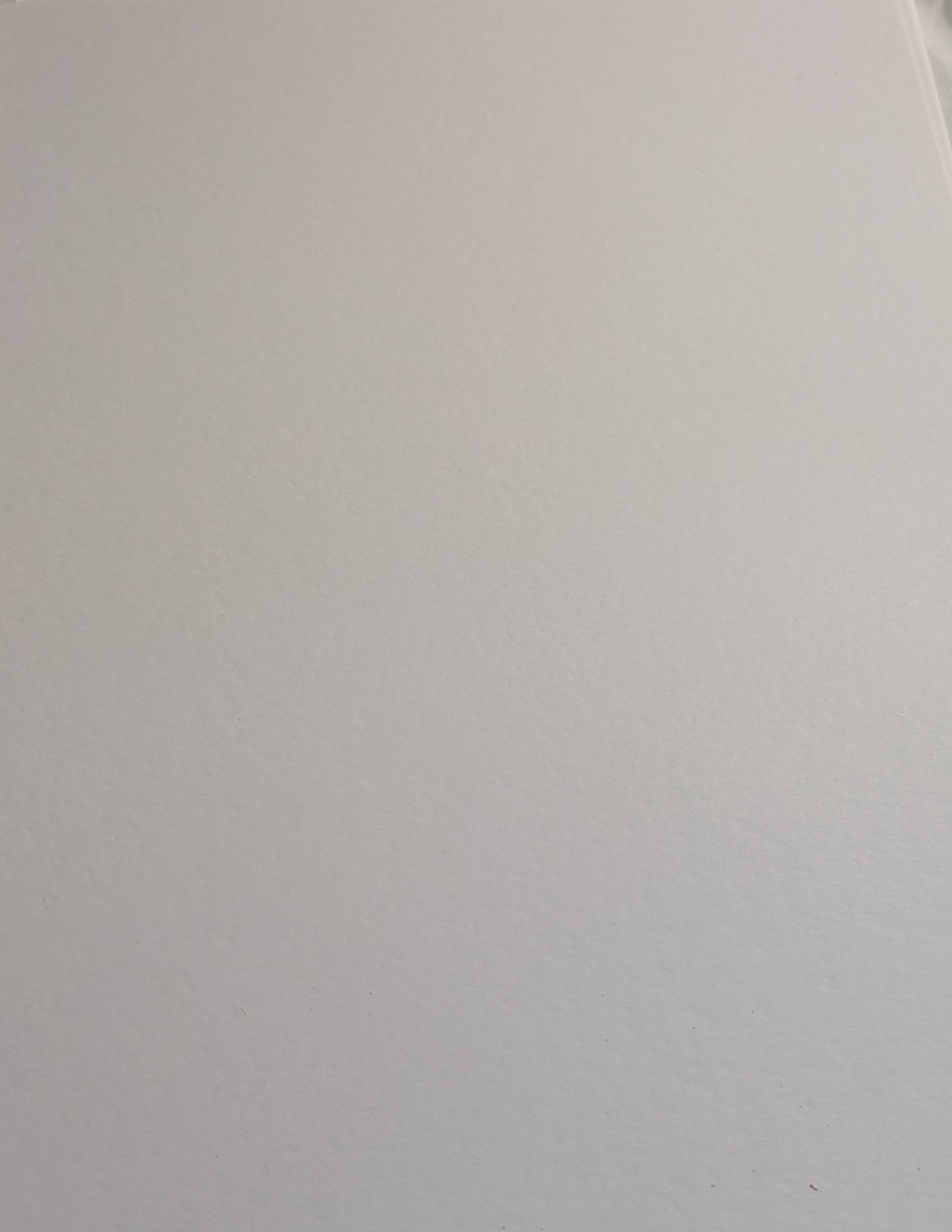 A4 DECORATED CARD 10 SHEETS SALE ON TWO ITEMS PLUS ACROSS MY SHOP P&P INCLUDED TO UK CODE 202