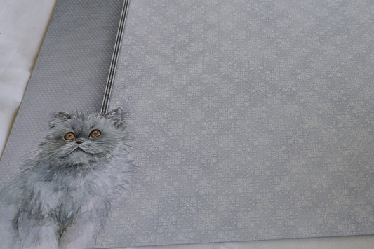 A4 DECORATED CARD 10 SHEETS SALE ON TWO ITEMS PLUS ACROSS MY SHOP P&P INCLUDED TO UK CODE 148