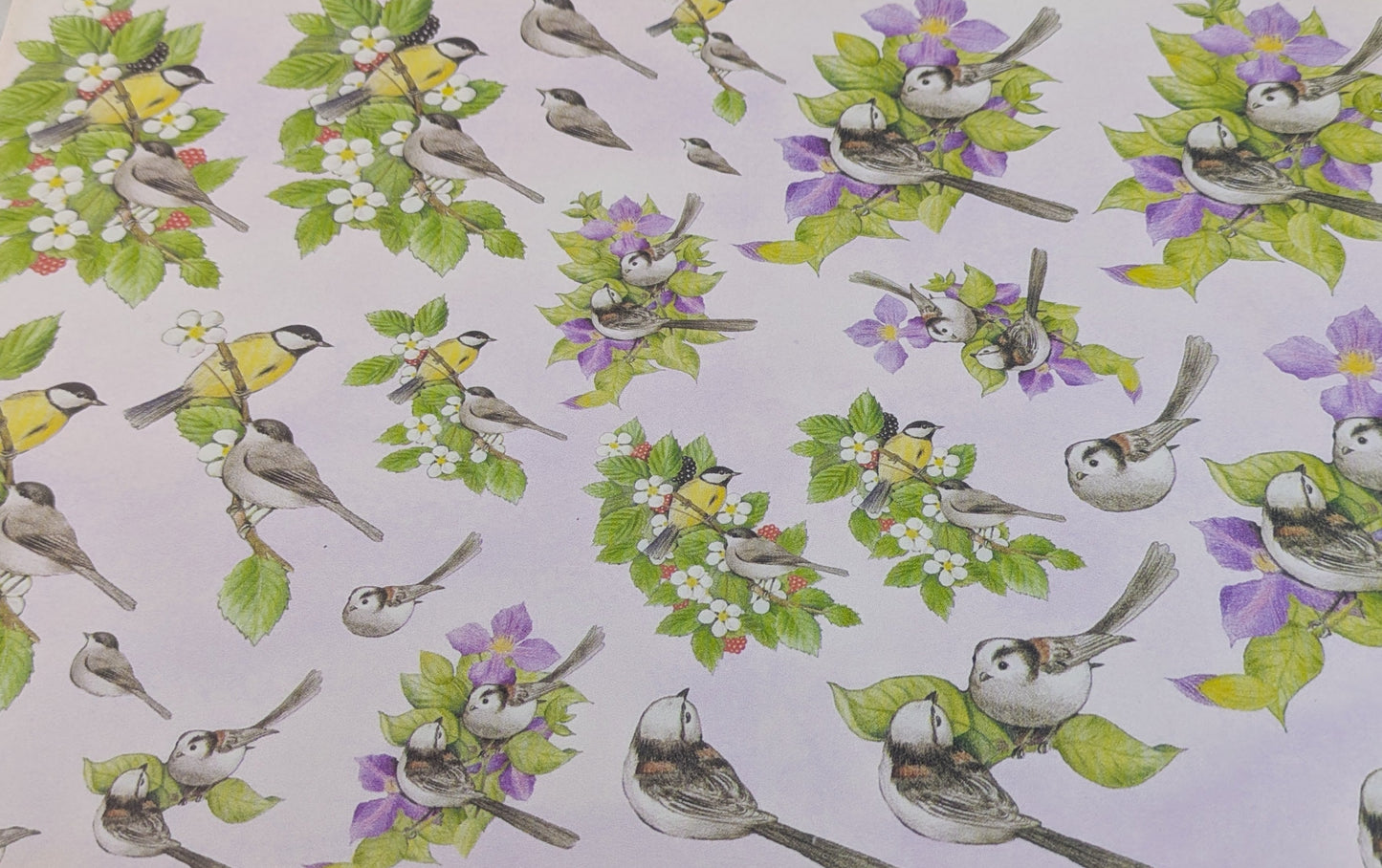 A4 DECORATED PAPER 20 SHEETS SALE ON 2 ITEMS PLUS ACROSS MY SHOP P&P INCLUDED TO UK CODE 253