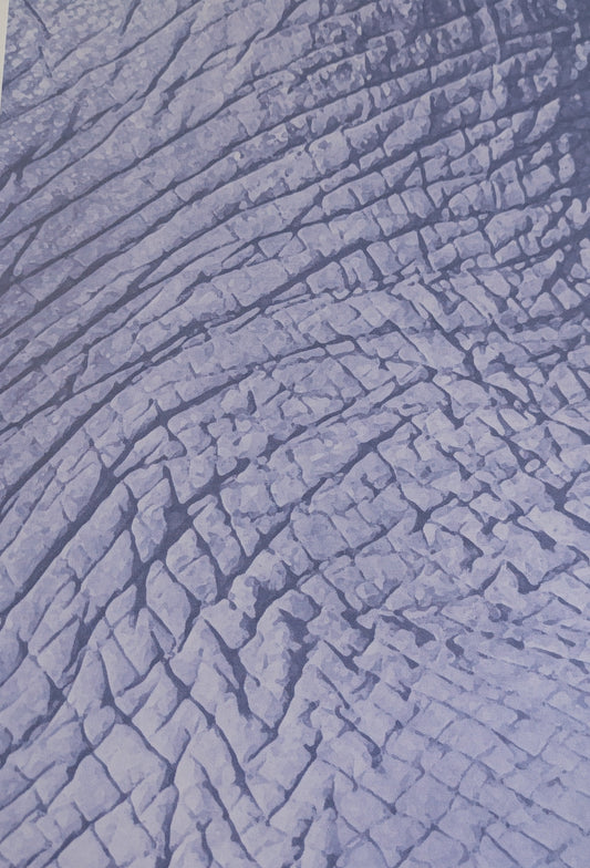 A4 DECORATED PAPER 20 SHEETS SALE ON 2 ITEMS PLUS ACROSS MY SHOP P&P INCLUDED TO UK CODE 273