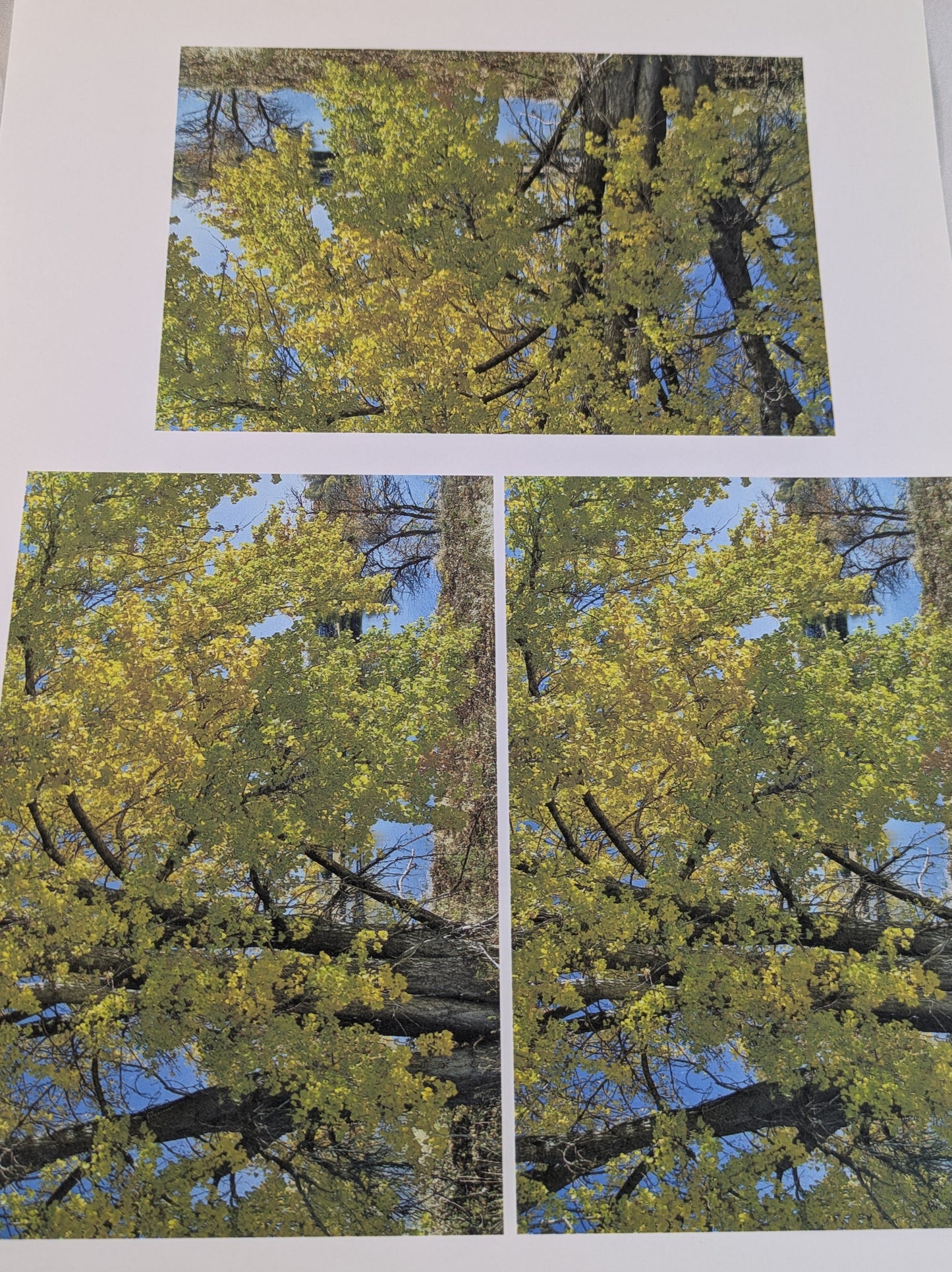 A4 DECORATED PAPER 20 SHEETS SALE ON 2 ITEMS PLUS ACROSS MY SHOP P&P INCLUDED TO UK CODE 274