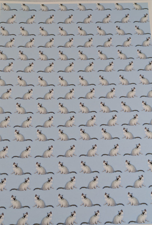 A4 DECORATED PAPER 20 SHEETS SALE ON 2 ITEMS PLUS ACROSS MY SHOP P&P INCLUDED TO UK CODE 276