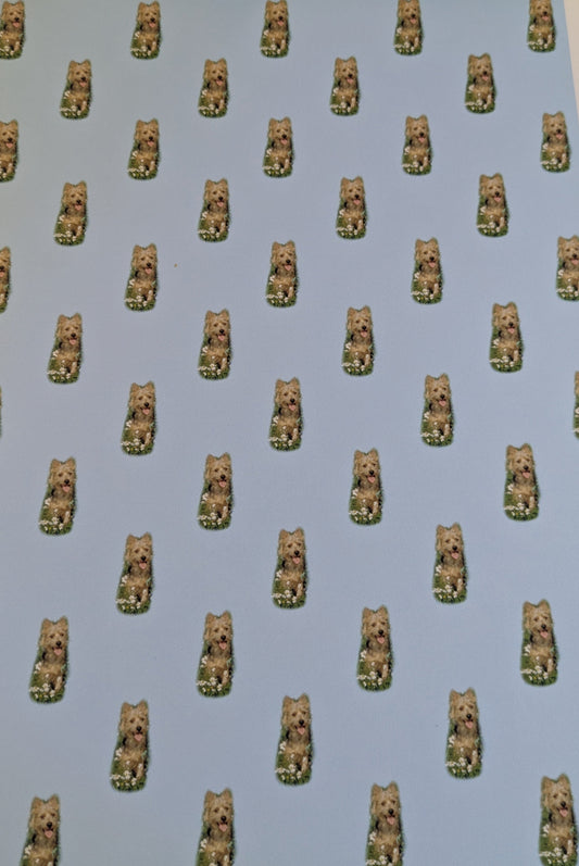 A4 DECORATED PAPER 20 SHEETS SALE ON 2 ITEMS PLUS ACROSS MY SHOP P&P INCLUDED TO UK CODE 312