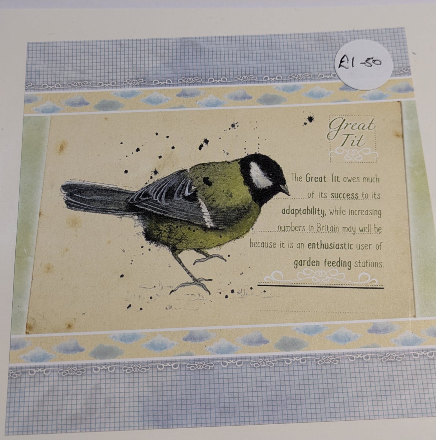 HAND MADE 6x6 INCH BIRD CARDS SALE ON 2 ITEMS ACROSS MY SHOP INCLUDING P&P TO UK  CODE 13