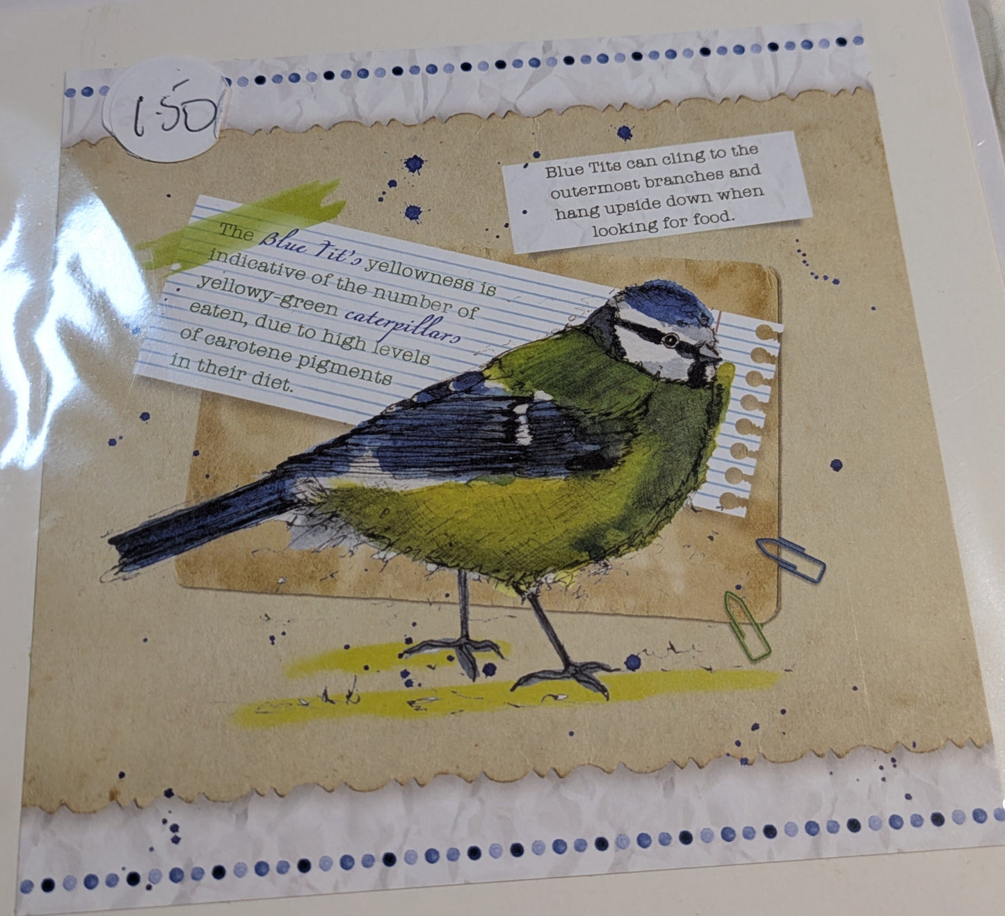 HAND MADE 6x6 INCH BIRD CARDS SALE ON 2 ITEMS ACROSS MY SHOP INCLUDING P&P TO UK  CODE 15
