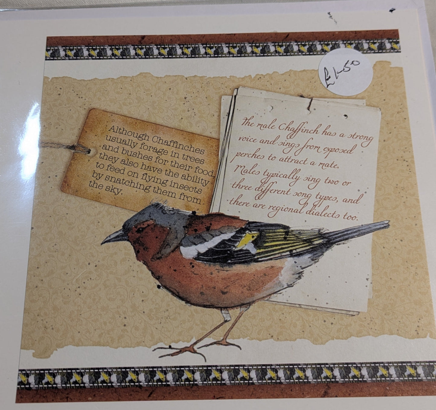 HAND MADE 6x6 INCH BIRD CARDS SALE ON 2 ITEMS ACROSS MY SHOP INCLUDING P&P TO UK  CODE 16