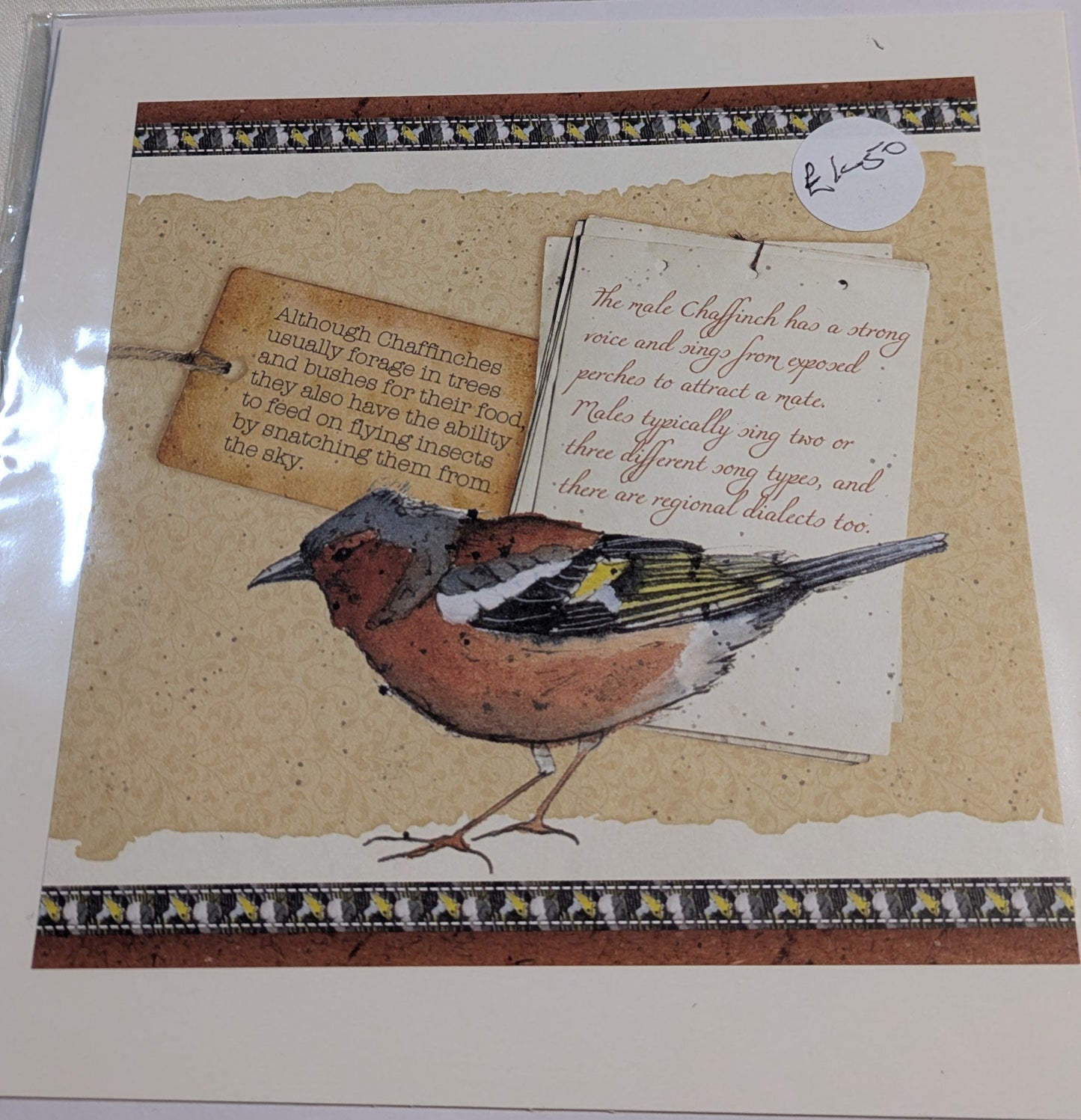 HAND MADE 6x6 INCH BIRD CARDS SALE ON 2 ITEMS ACROSS MY SHOP INCLUDING P&P TO UK  CODE 17