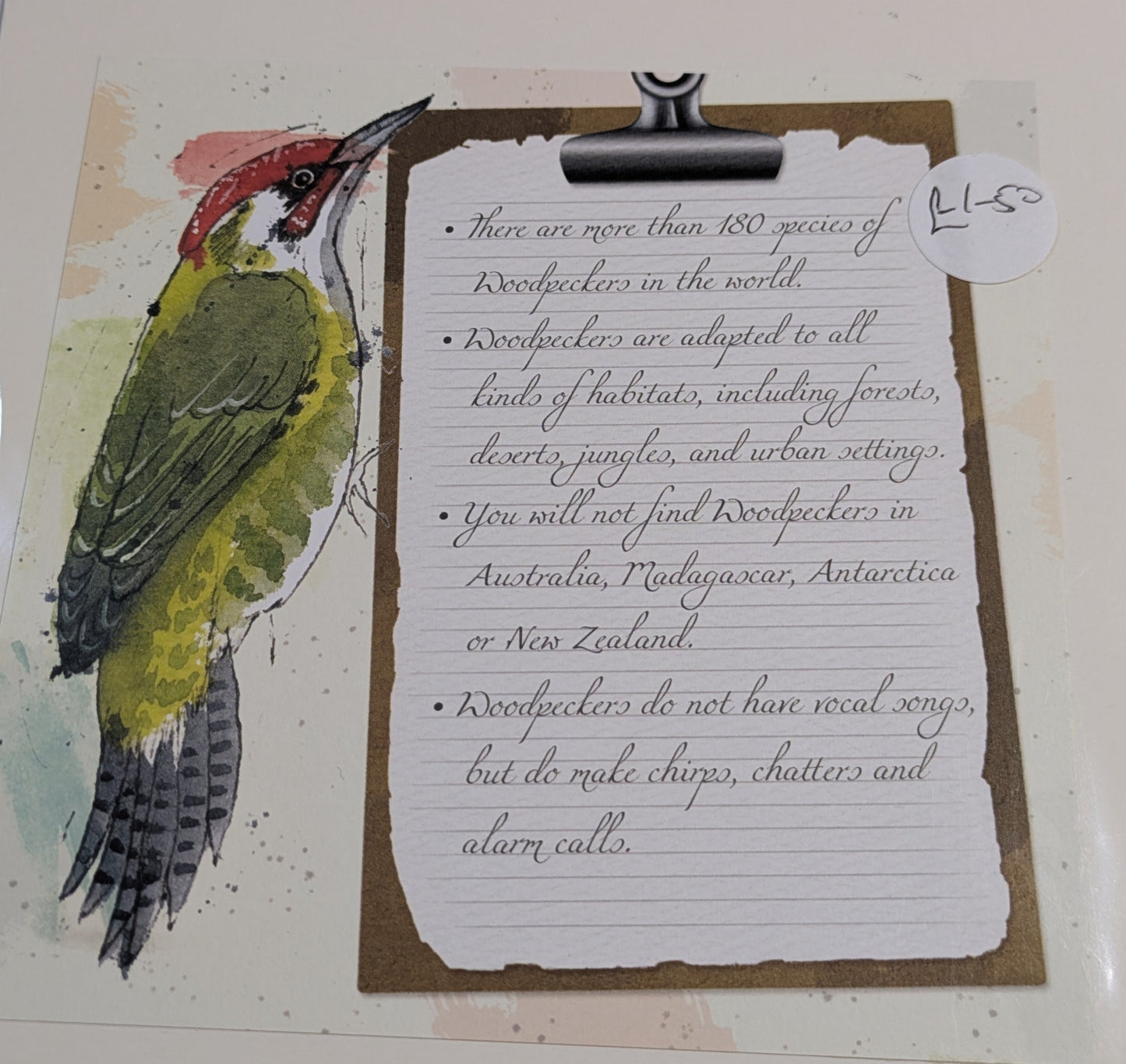 HAND MADE 6x6 INCH BIRD CARDS SALE ON 2 ITEMS ACROSS MY SHOP INCLUDING P&P TO UK  CODE 18