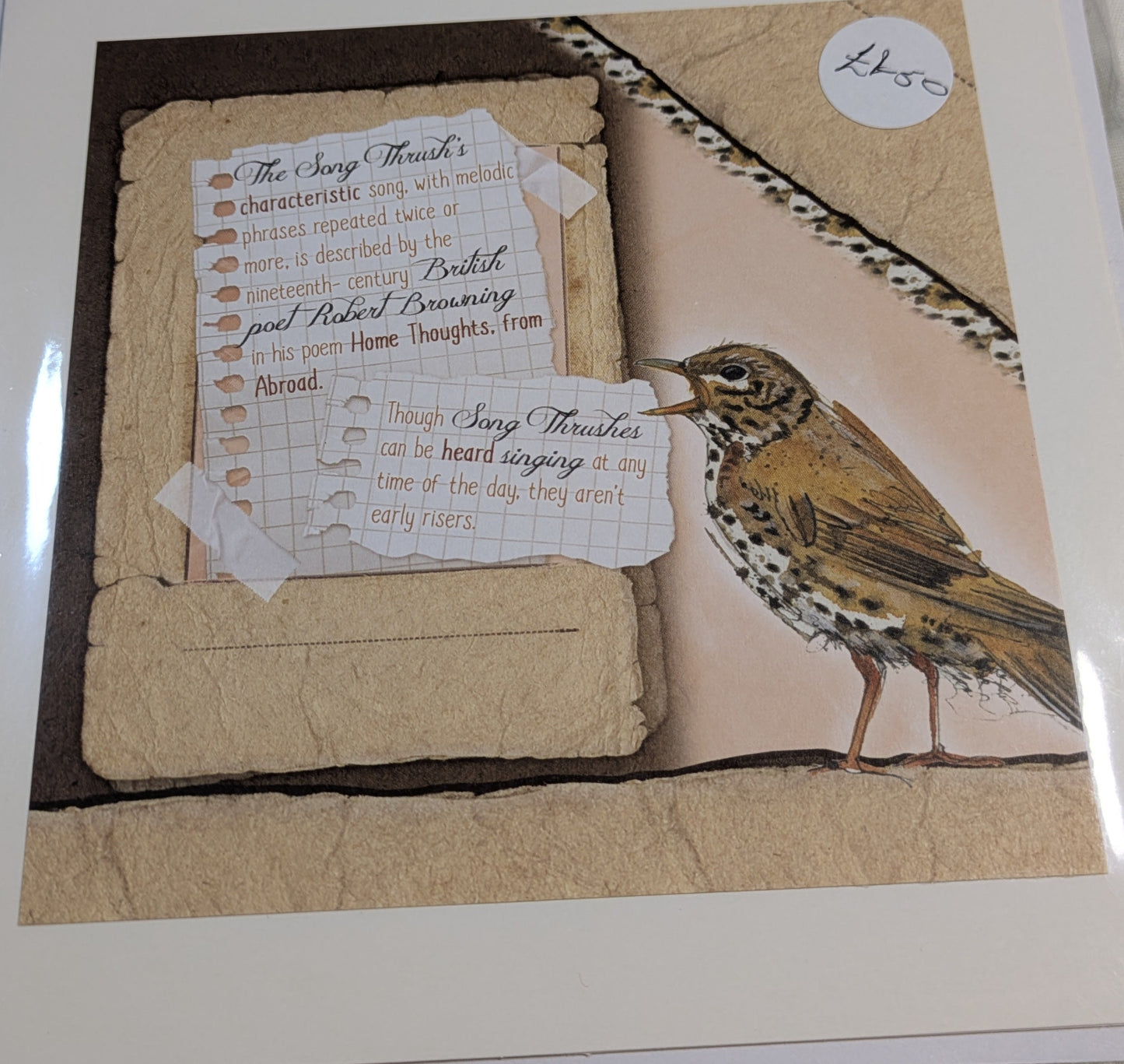 HAND MADE 6x6 INCH BIRD CARDS SALE ON 2 ITEMS ACROSS MY SHOP INCLUDING P&P TO UK  CODE 19