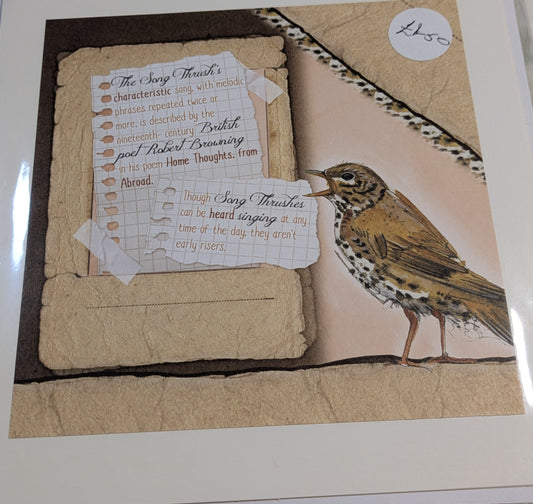 HAND MADE 6x6 INCH BIRD CARDS SALE ON 2 ITEMS ACROSS MY SHOP INCLUDING P&P TO UK  CODE 19
