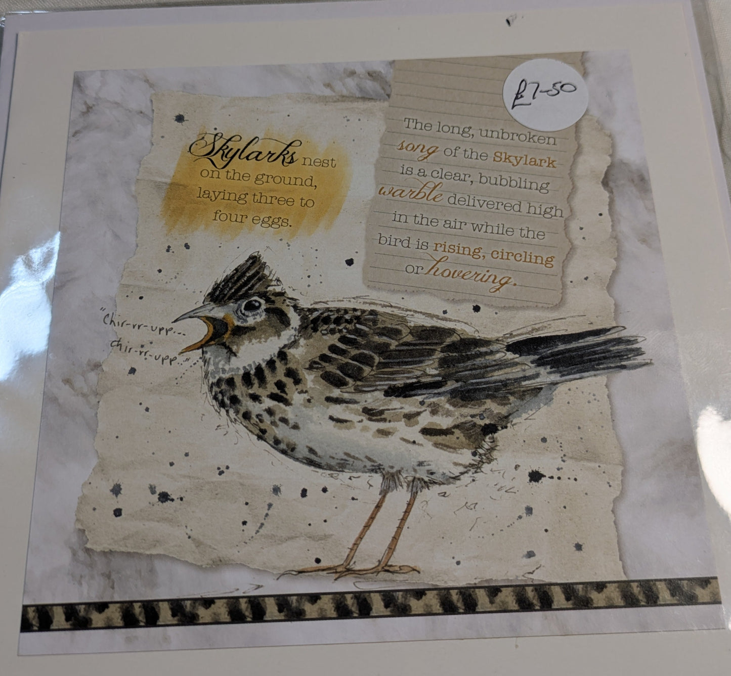 HAND MADE 6x6 INCH BIRD CARDS SALE ON 2 ITEMS ACROSS MY SHOP INCLUDING P&P TO UK  CODE 20