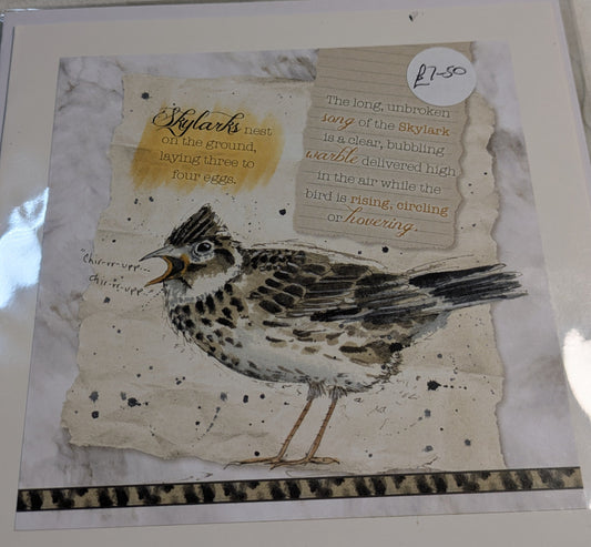 HAND MADE 6x6 INCH BIRD CARDS SALE ON 2 ITEMS ACROSS MY SHOP INCLUDING P&P TO UK  CODE 20
