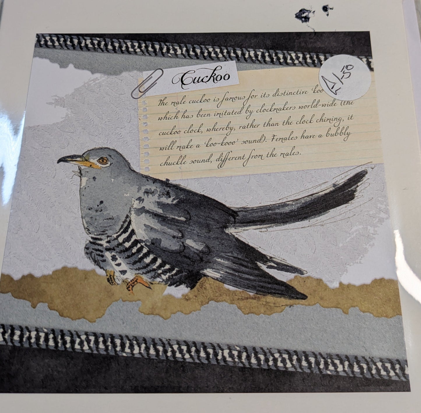 HAND MADE 6x6 INCH BIRD CARDS SALE ON 2 ITEMS ACROSS MY SHOP INCLUDING P&P TO UK  CODE 21