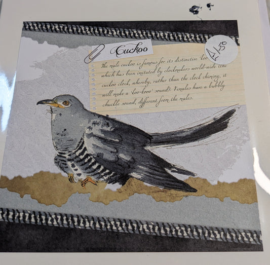 HAND MADE 6x6 INCH BIRD CARDS SALE ON 2 ITEMS ACROSS MY SHOP INCLUDING P&P TO UK  CODE 21