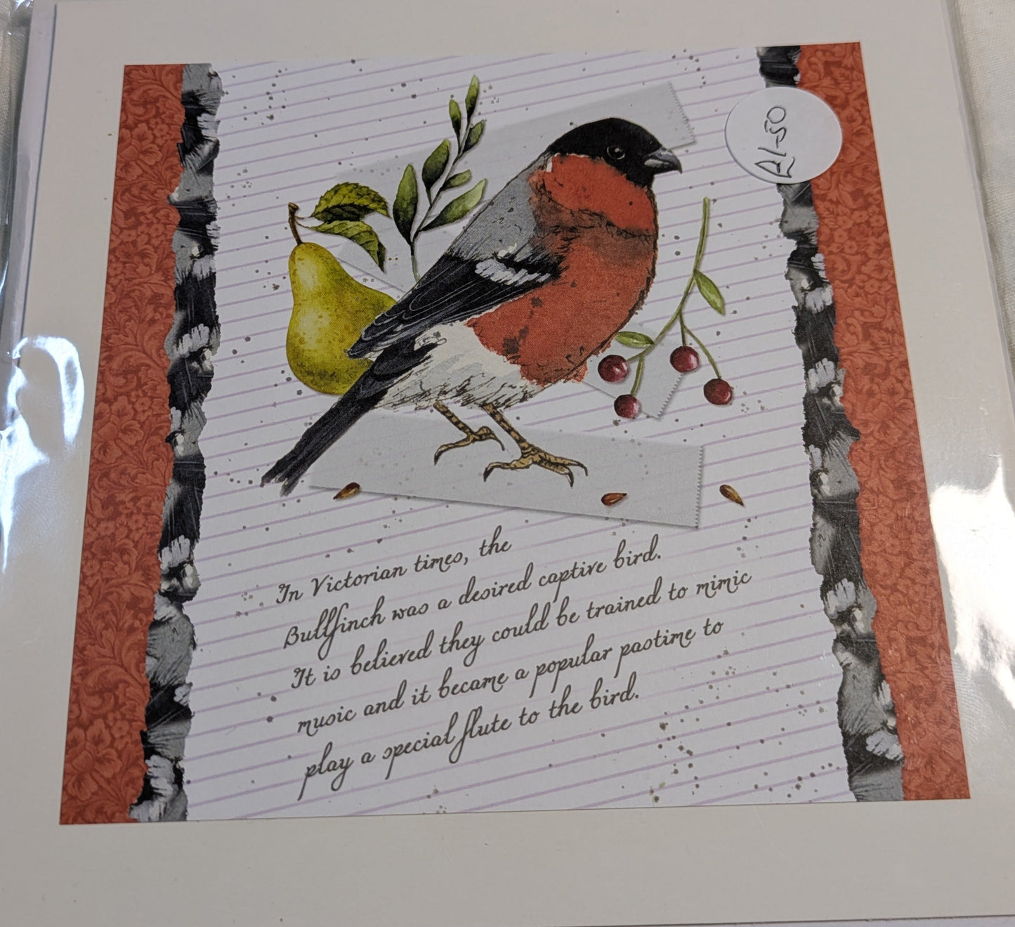 HAND MADE 6x6 INCH BIRD CARDS SALE ON 2 ITEMS ACROSS MY SHOP INCLUDING P&P TO UK  CODE 23