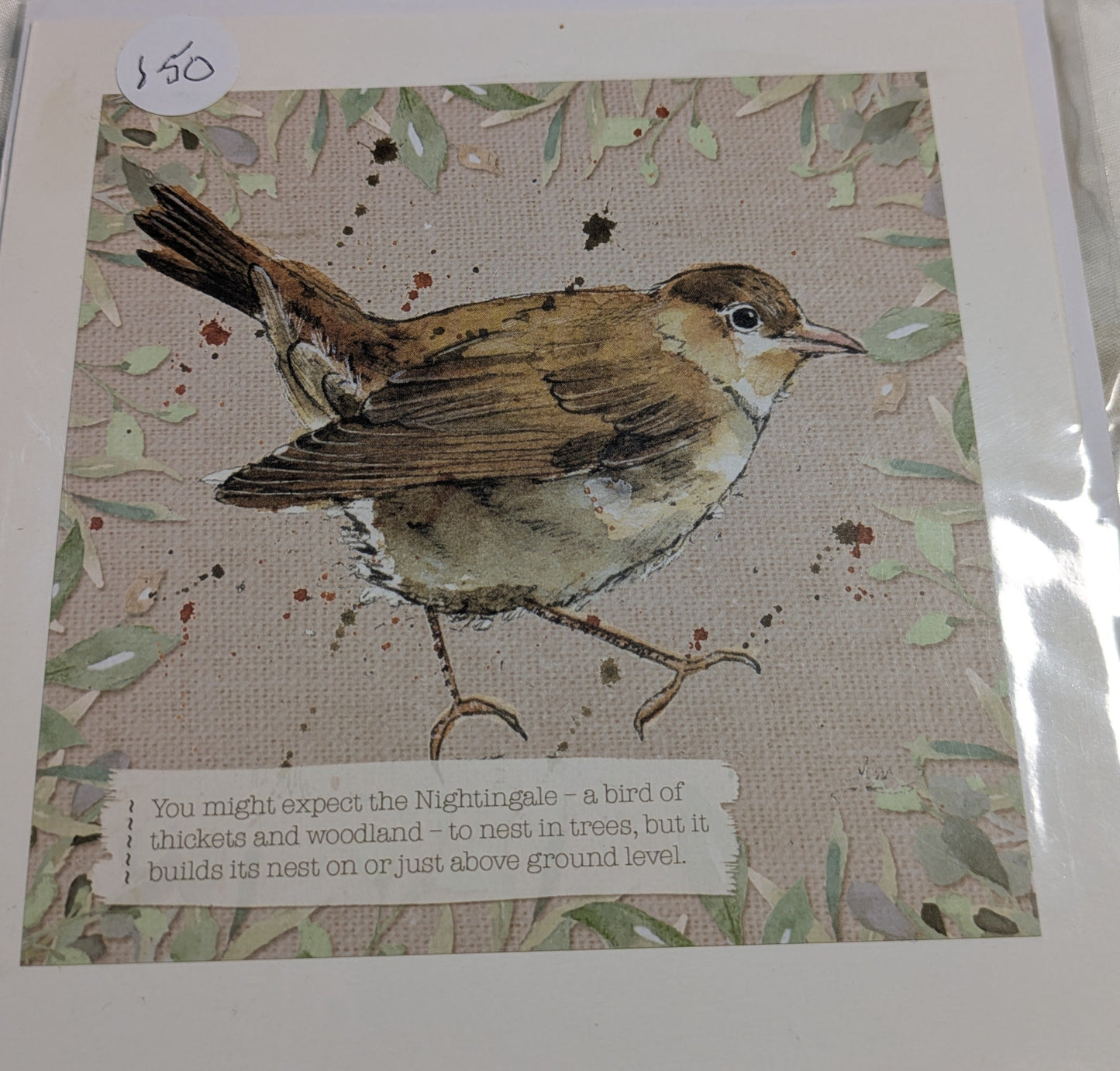 HAND MADE 6x6 INCH BIRD CARDS SALE ON 2 ITEMS ACROSS MY SHOP INCLUDING P&P TO UK  CODE 25