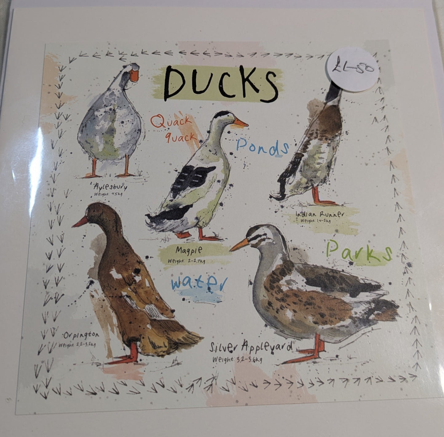 HAND MADE 6x6 INCH BIRD CARDS SALE ON 2 ITEMS ACROSS MY SHOP INCLUDING P&P TO UK  CODE 26