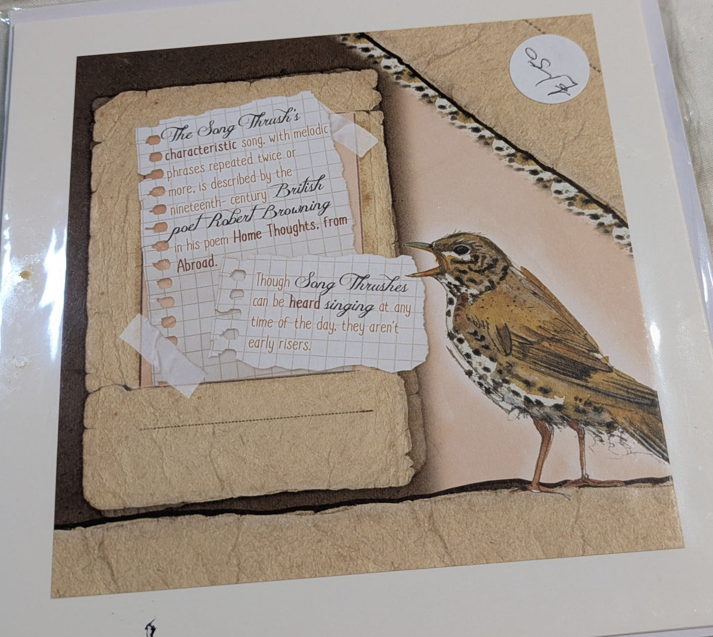 HAND MADE 6x6 INCH BIRD CARDS SALE ON 2 ITEMS ACROSS MY SHOP INCLUDING P&P TO UK  CODE 28