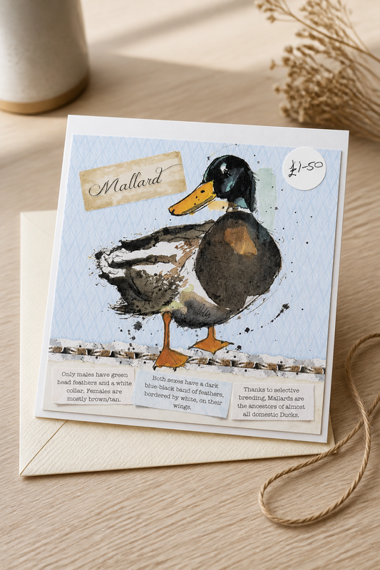 HAND MADE 6x6 INCH BIRD CARDS SALE ON 2 ITEMS ACROSS MY SHOP INCLUDING P&P TO UK  CODE 14