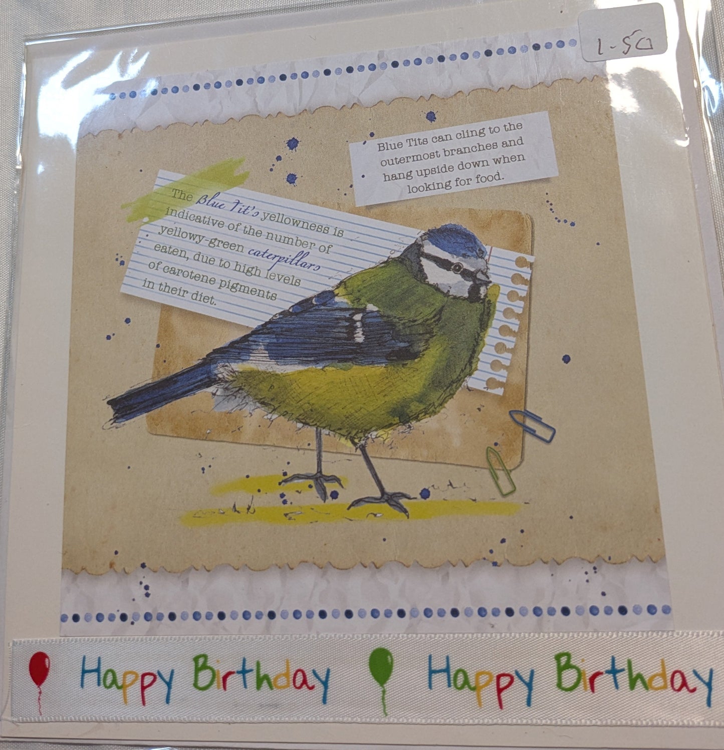 6x6 INCH BIRD CARDS HAPPY BIRTHDAY INCLUDING P&P TO UK  CODE 43