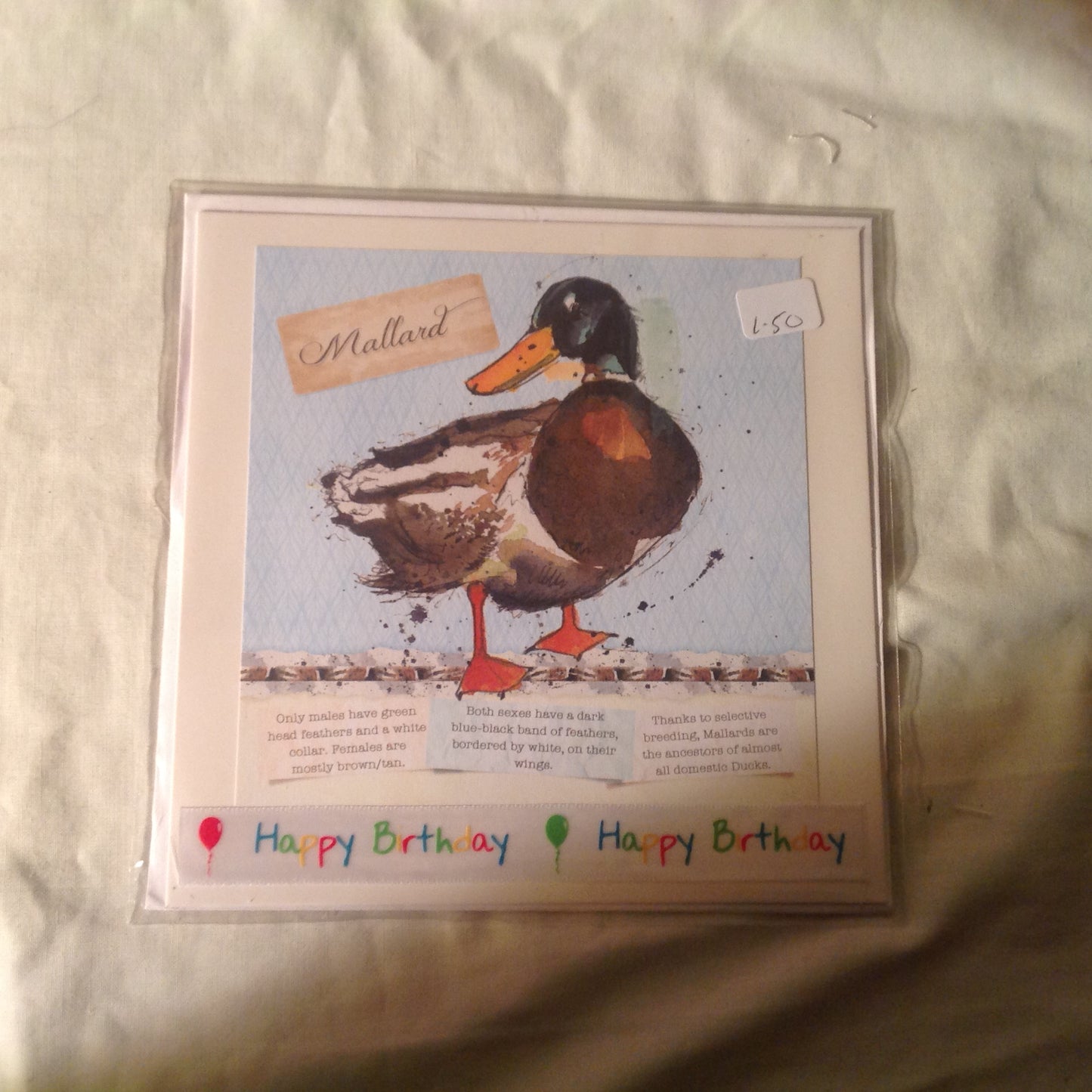 6x6 INCH BIRD CARDS HAPPY BIRTHDAY INCLUDING P&P TO UK  CODE 27