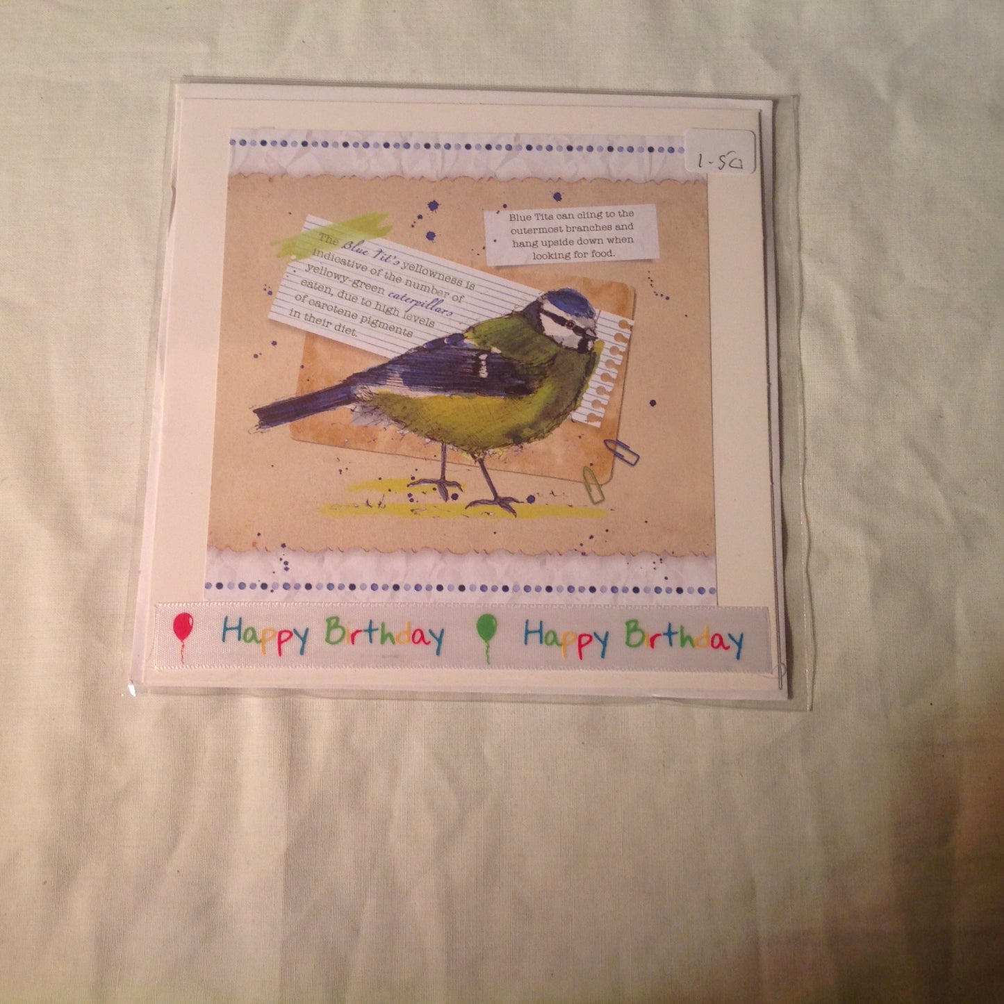 6x6 INCH BIRD CARDS HAPPY BIRTHDAY INCLUDING P&P TO UK  CODE 35