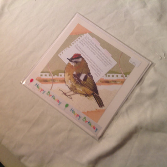 6x6 INCH BIRD CARDS HAPPY BIRTHDAY INCLUDING P&P TO UK  CODE 39