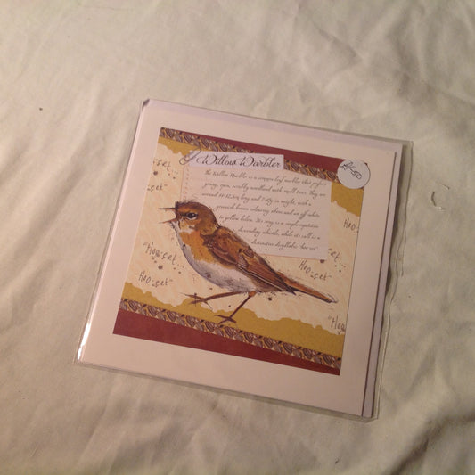 6x6 INCH BIRD CARDS INCLUDING P&P TO UK  CODE 3