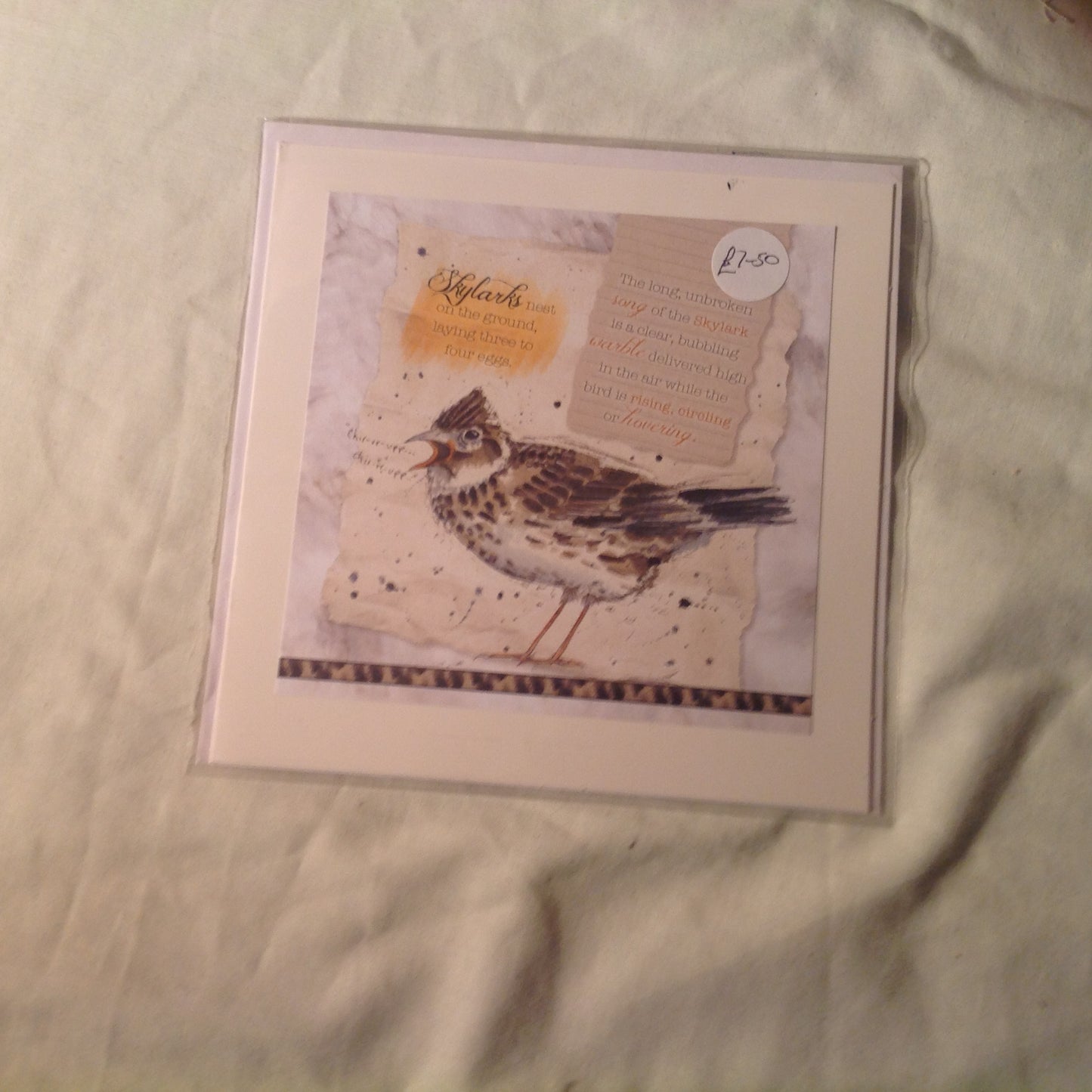 6x6 INCH BIRD CARDS INCLUDING P&P TO UK  CODE 4