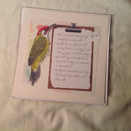 6x6 INCH BIRD CARDS INCLUDING P&P TO UK  CODE 5