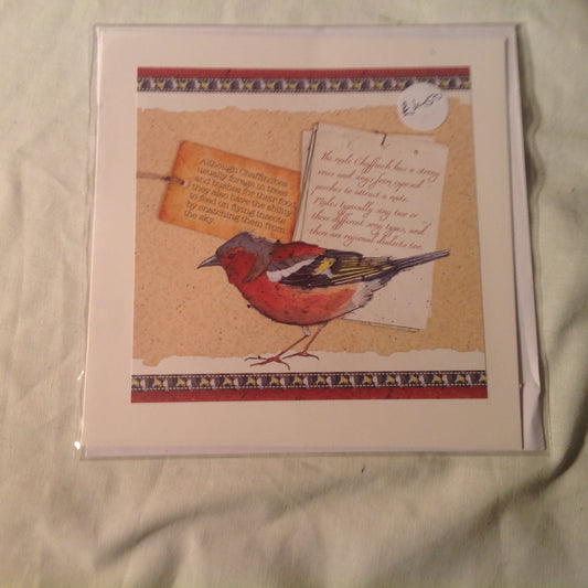 6x6 INCH BIRD CARDS INCLUDING P&P TO UK  CODE 6