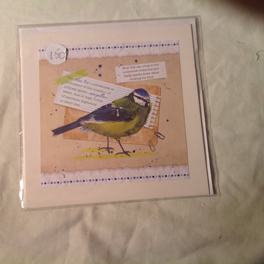 6x6 INCH BIRD CARDS INCLUDING P&P TO UK  CODE 7