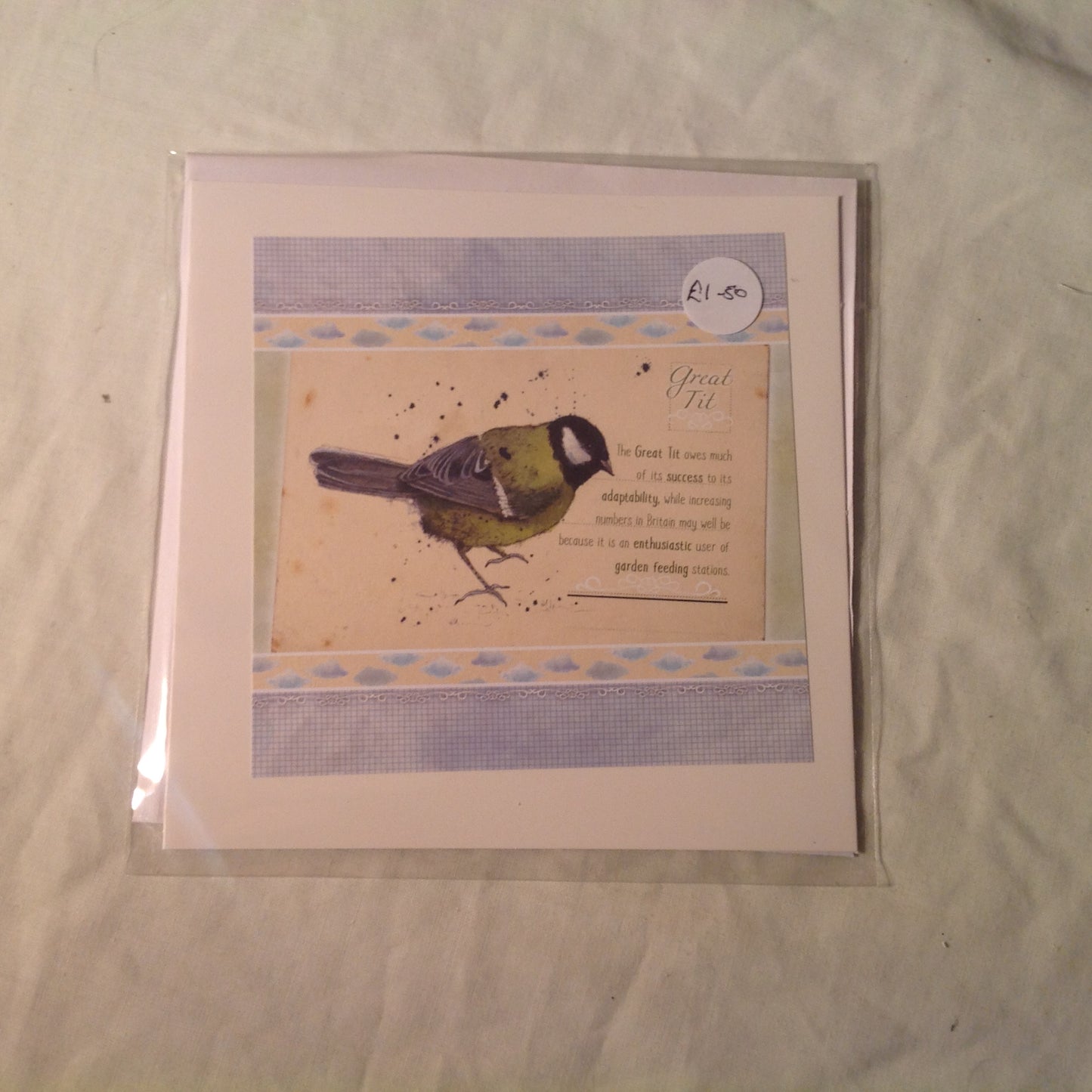 6x6 INCH BIRD CARDS INCLUDING P&P TO UK  CODE 9