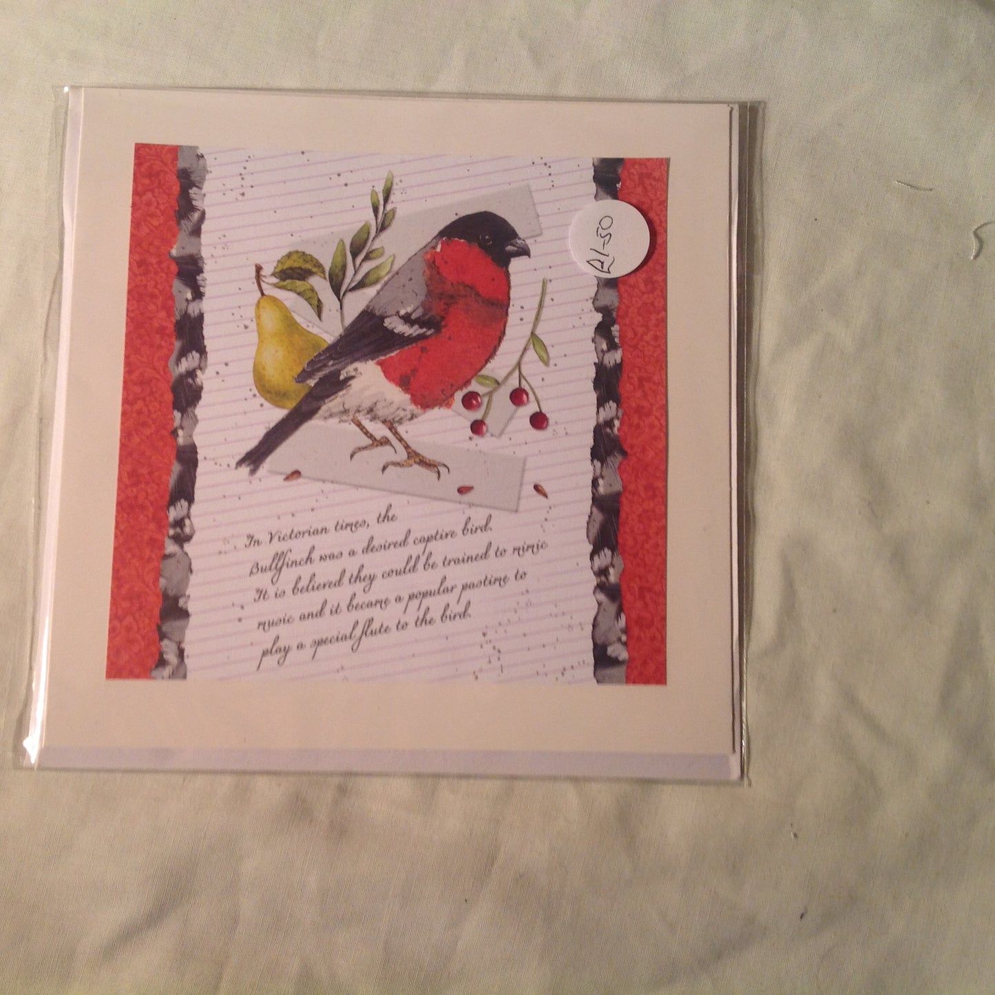 6x6 INCH BIRD CARDS INCLUDING P&P TO UK  CODE 10